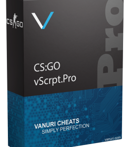 CS2 – vScrpt.Pro | GOLD – Reseller Key